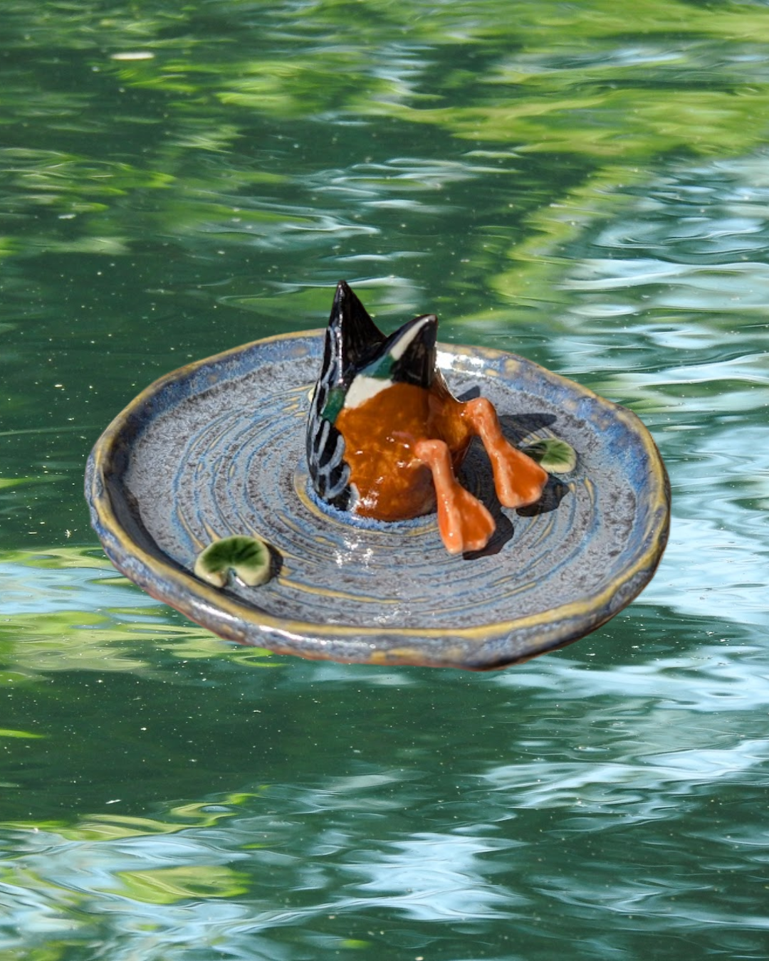 Dabbling Duck Trinket Plate - Northern Shoveler