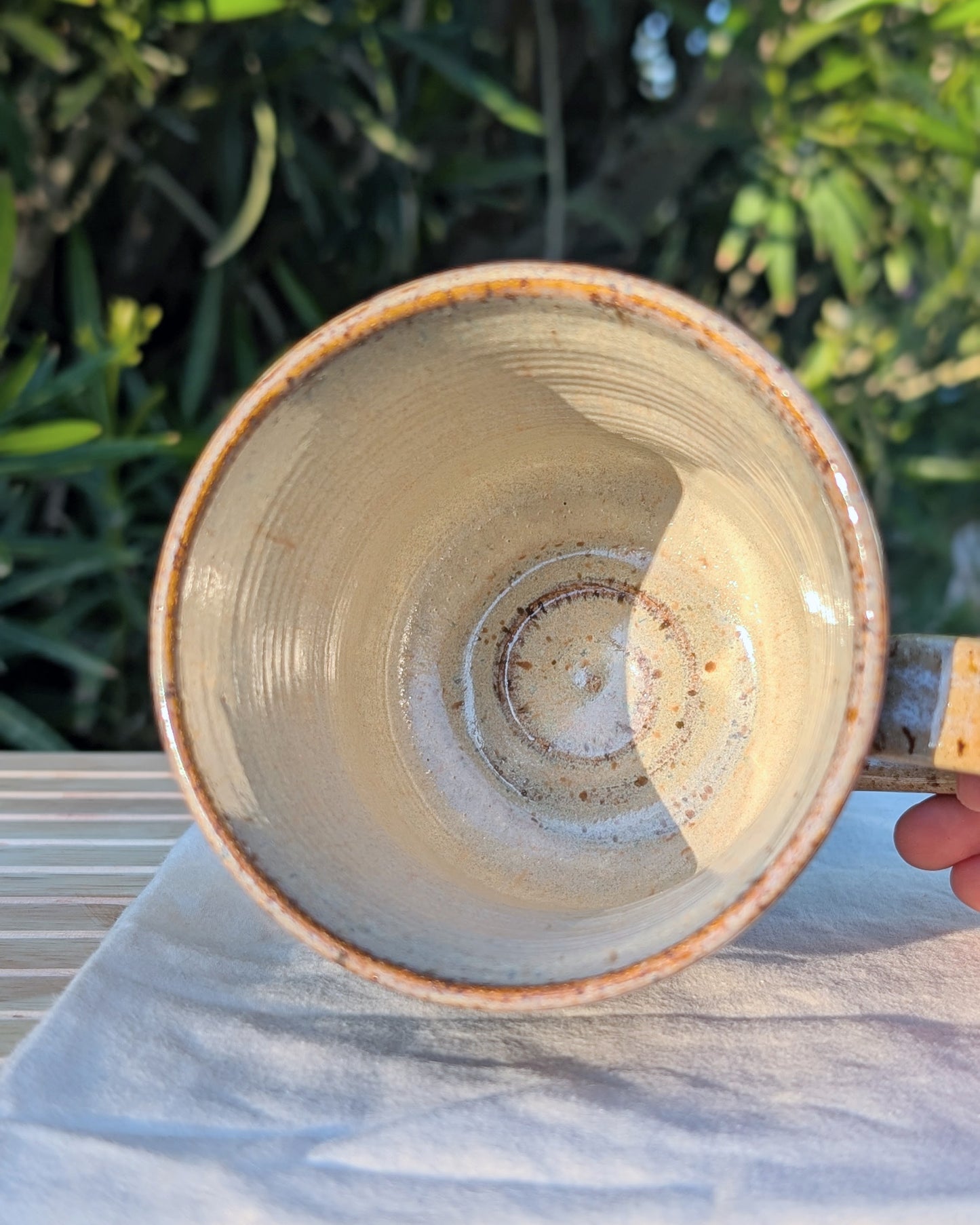 Ivory-Billed Woodpeckers Mug