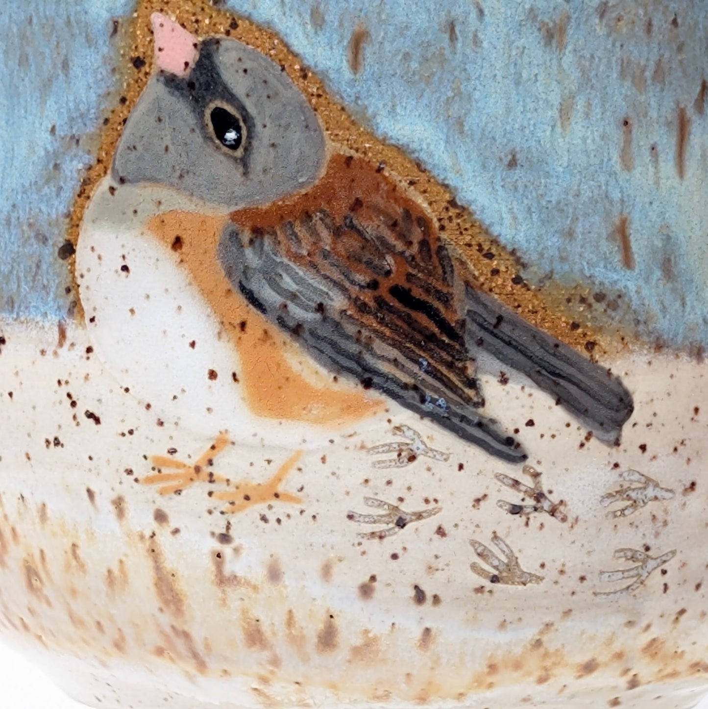 Dark-Eyed Junco Mug 3