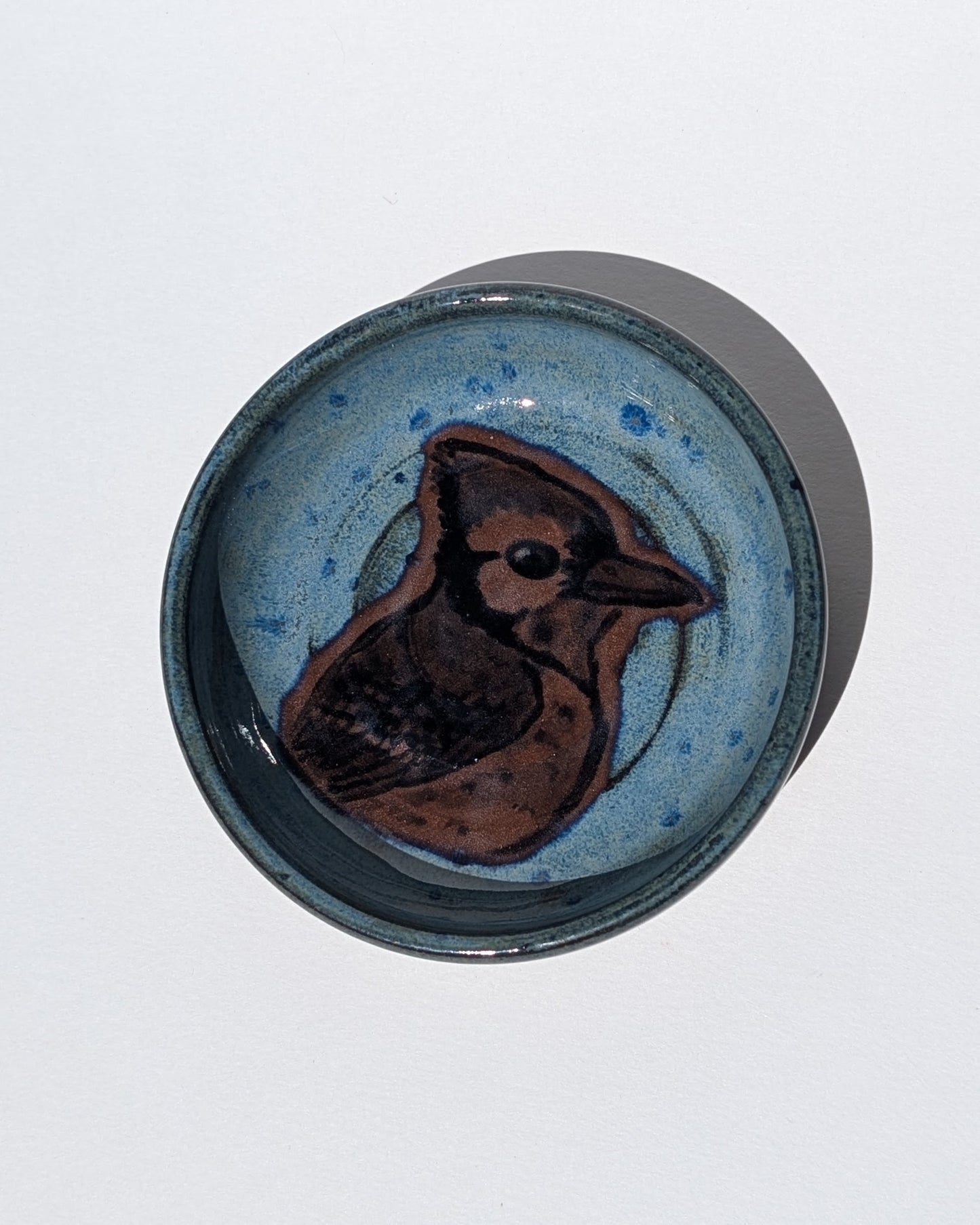 Blue Jay Small Plate