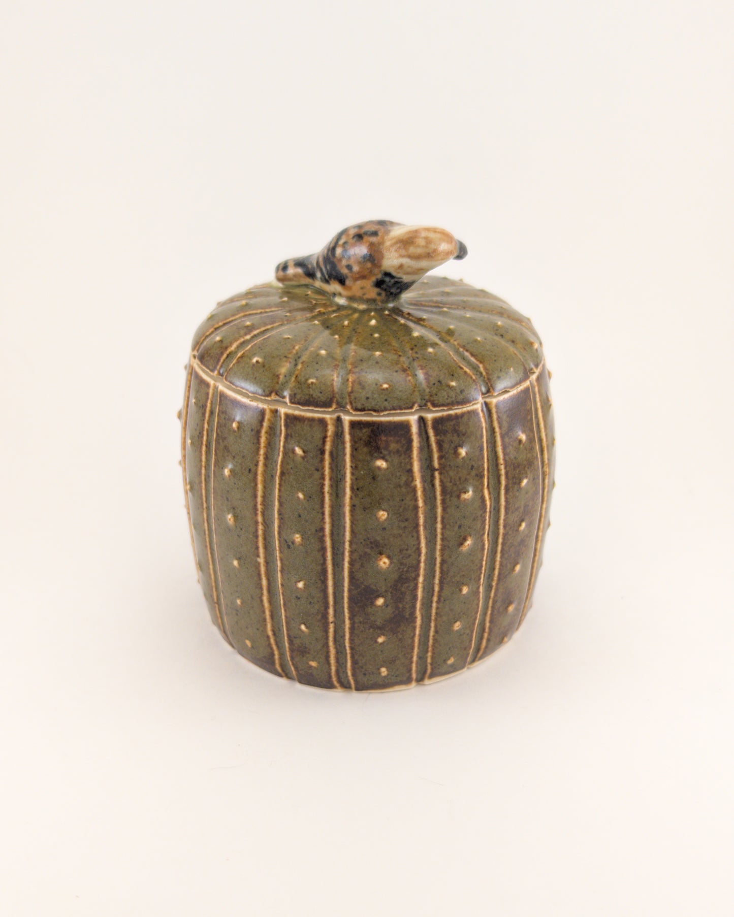 Saguaro Jar - Cactus Wren Edition