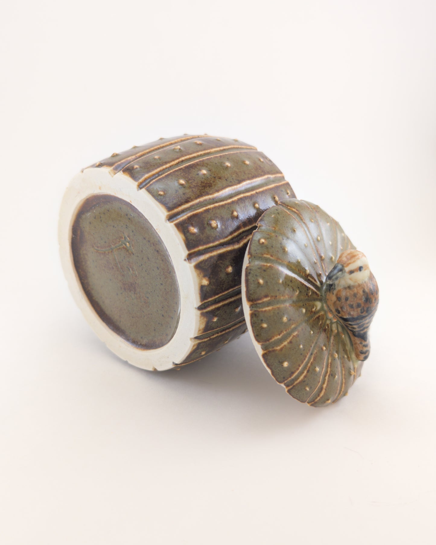 Saguaro Jar - Cactus Wren Edition