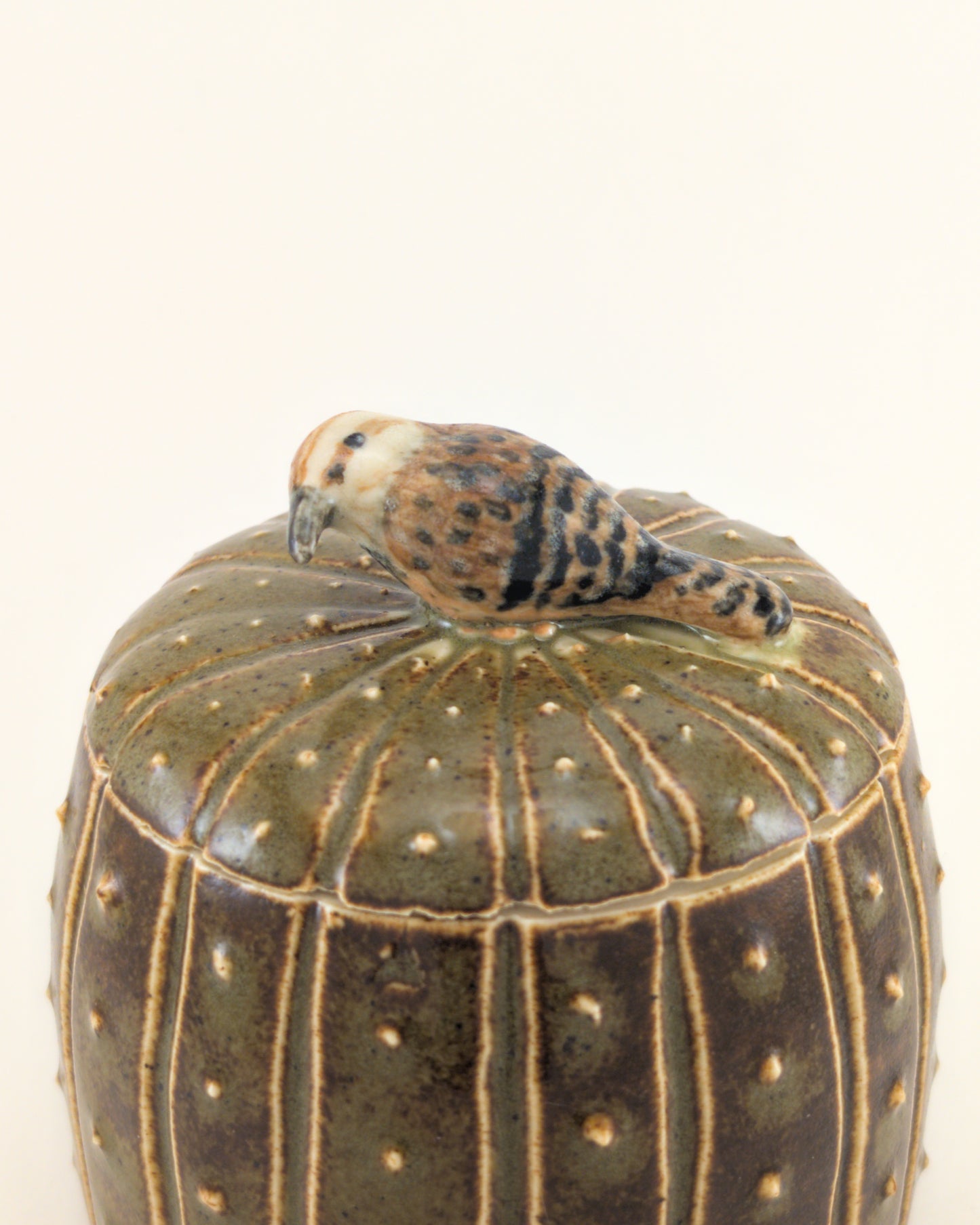 Saguaro Jar - Cactus Wren Edition