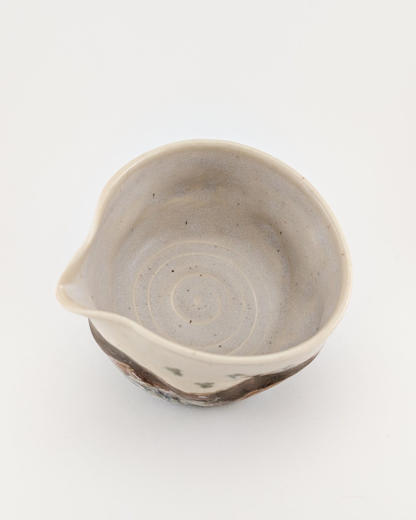 Ibises Wintering in Desert Floodplain Bowl with Spout - 10 oz