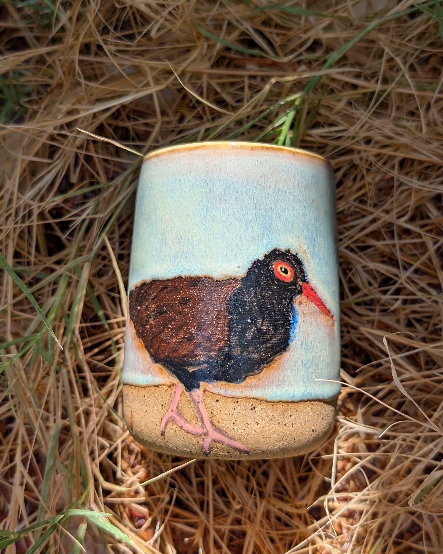 Black Oystercatcher Family Tumbler - 13 oz