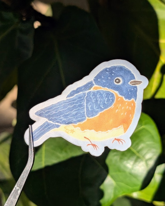 Mischievous Eastern Bluebird Sticker
