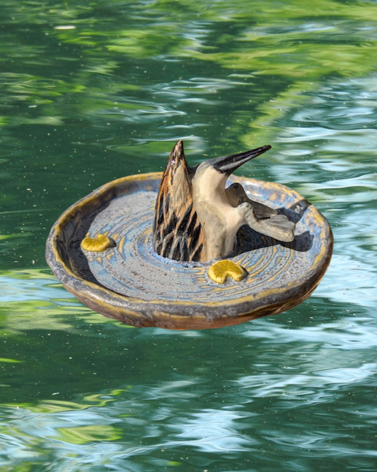 Dabbling Duck Trinket Plate - Northern Pintail