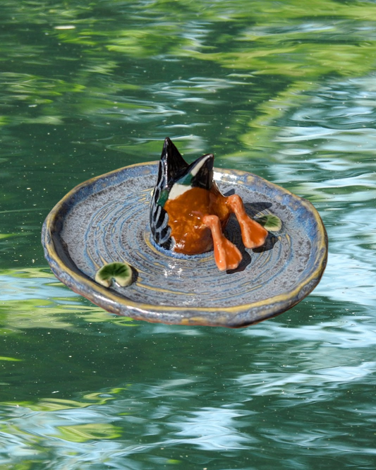 Dabbling Duck Trinket Plate - Northern Shoveler