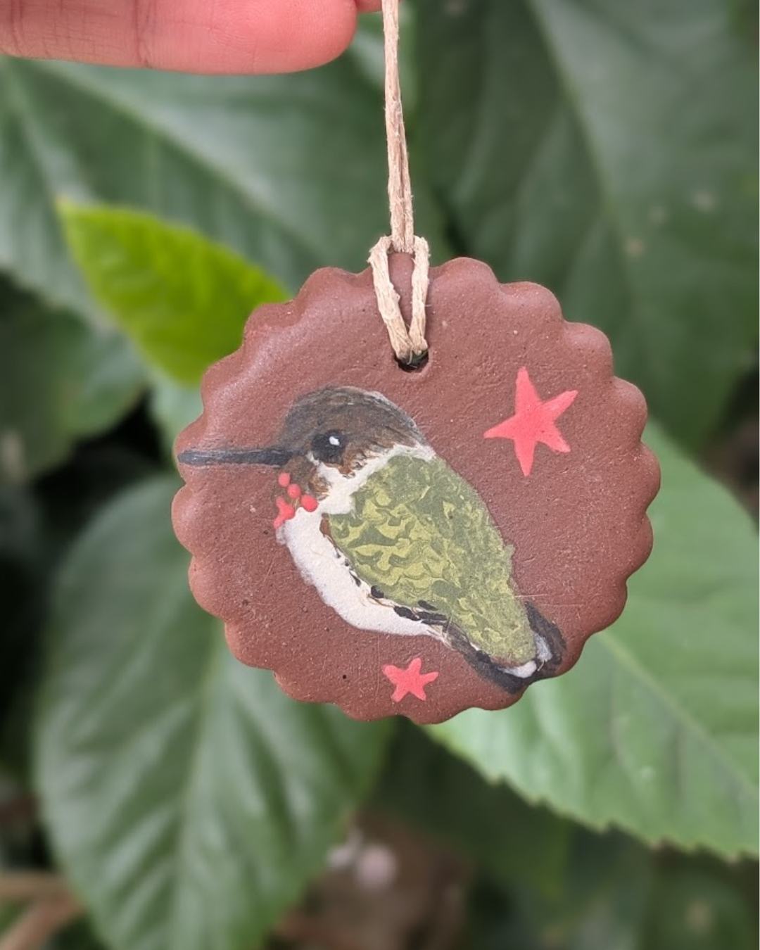 Anna's Hummingbird #1 Magnet/Ornament