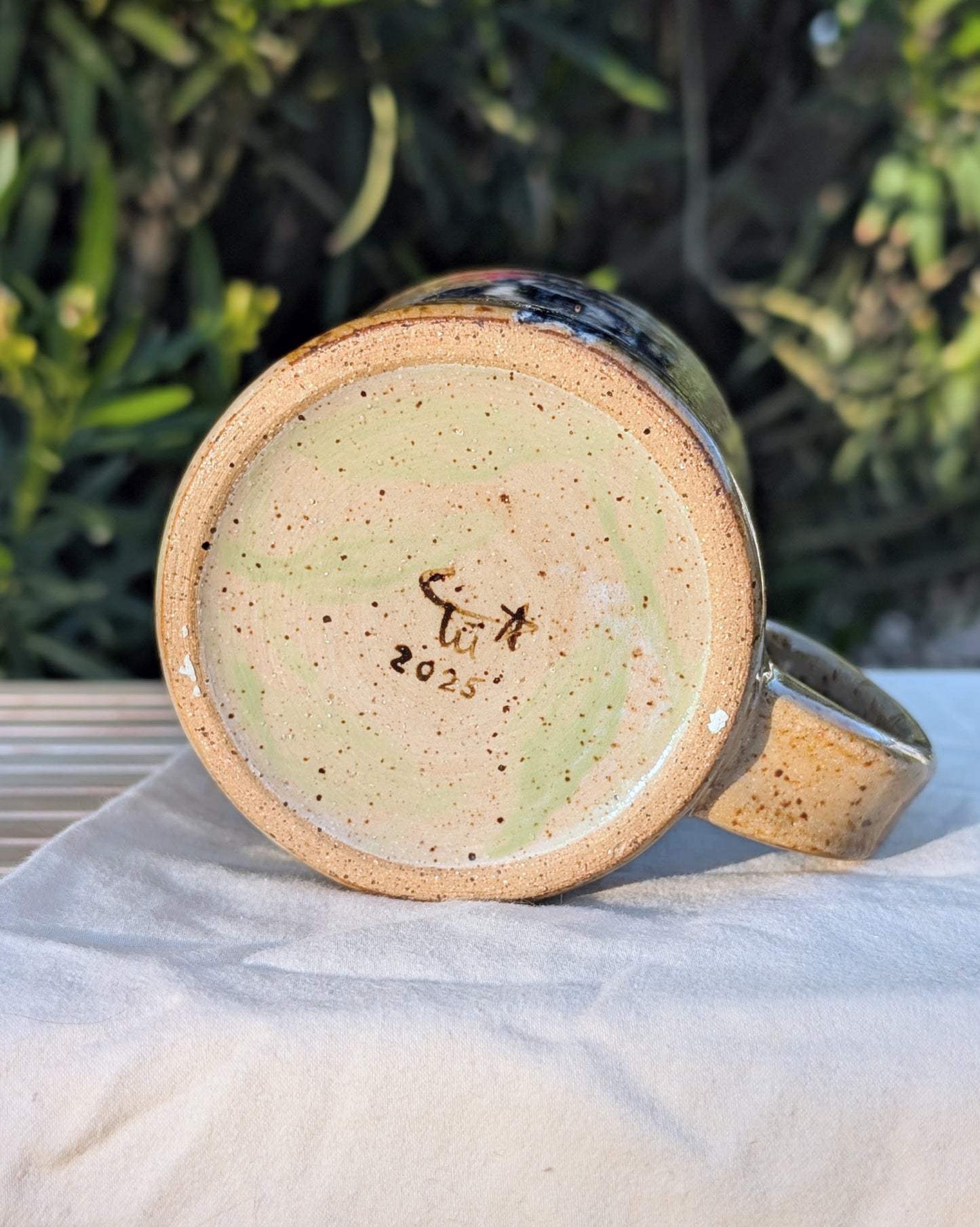 Ivory-Billed Woodpeckers Mug