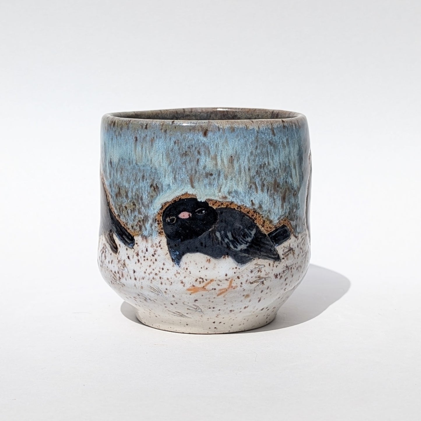 Dark-Eyed Junco Mug 5