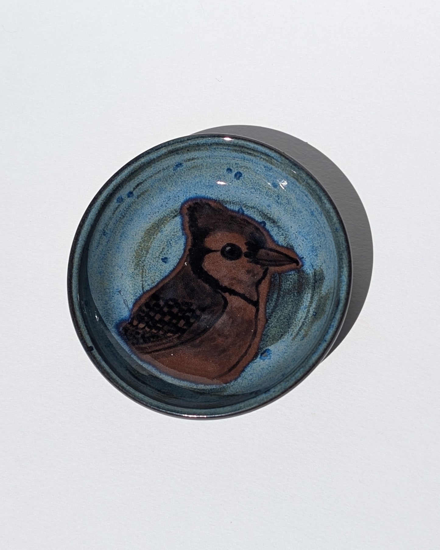 Blue Jay Small Plate