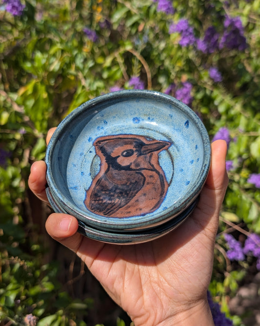 Blue Jay Small Plate