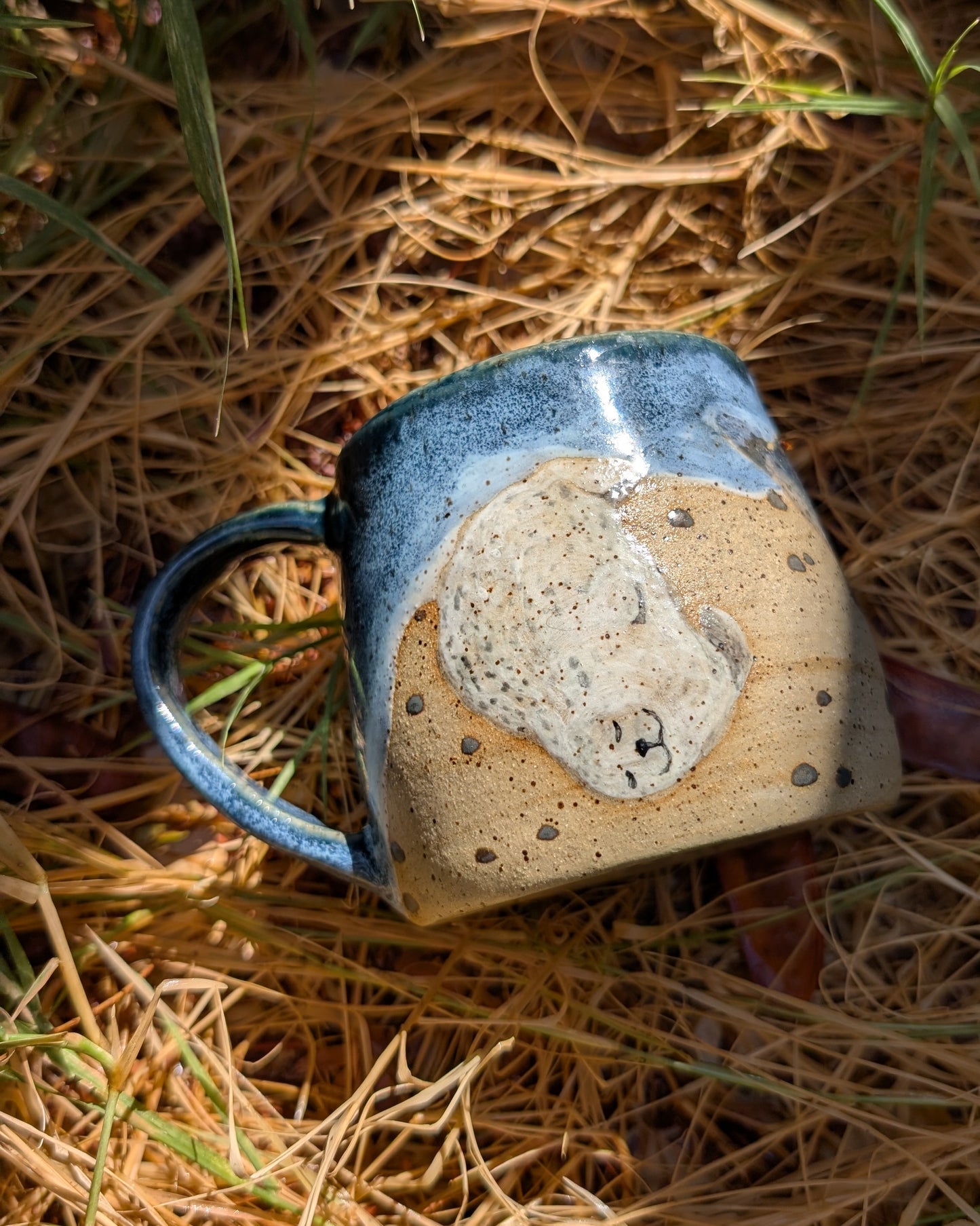 Harbor Seals on Beach Mug - 12 oz