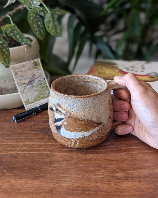 Killdeers on Beach Mug - 10 oz