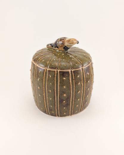 Saguaro Jar - Cactus Wren Edition