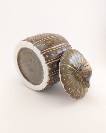 Saguaro Jar - Cactus Wren Edition