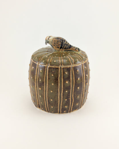 Saguaro Jar - Cactus Wren Edition