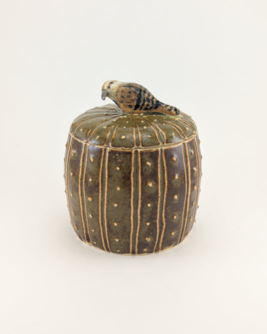 Saguaro Jar - Cactus Wren Edition