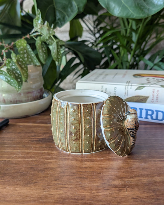 Saguaro Jar - Cactus Wren Edition
