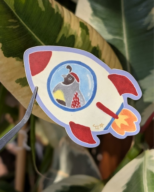 Mischievous Quail in a Rocket Sticker